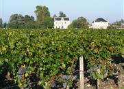 La route du vin de Bordeaux