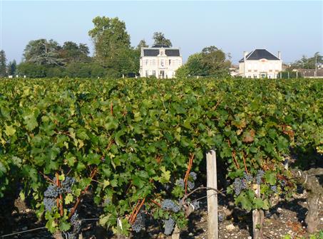 La route du vin de Bordeaux