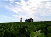 Le Médoc