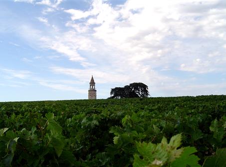 Le Médoc