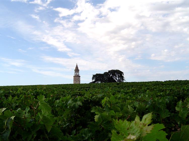 Le Médoc