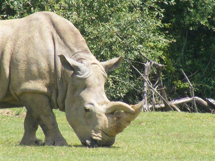 Le zoo de Pessac – 5km
